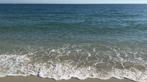 Une plage avec une eau claire et un horizon bien visible.