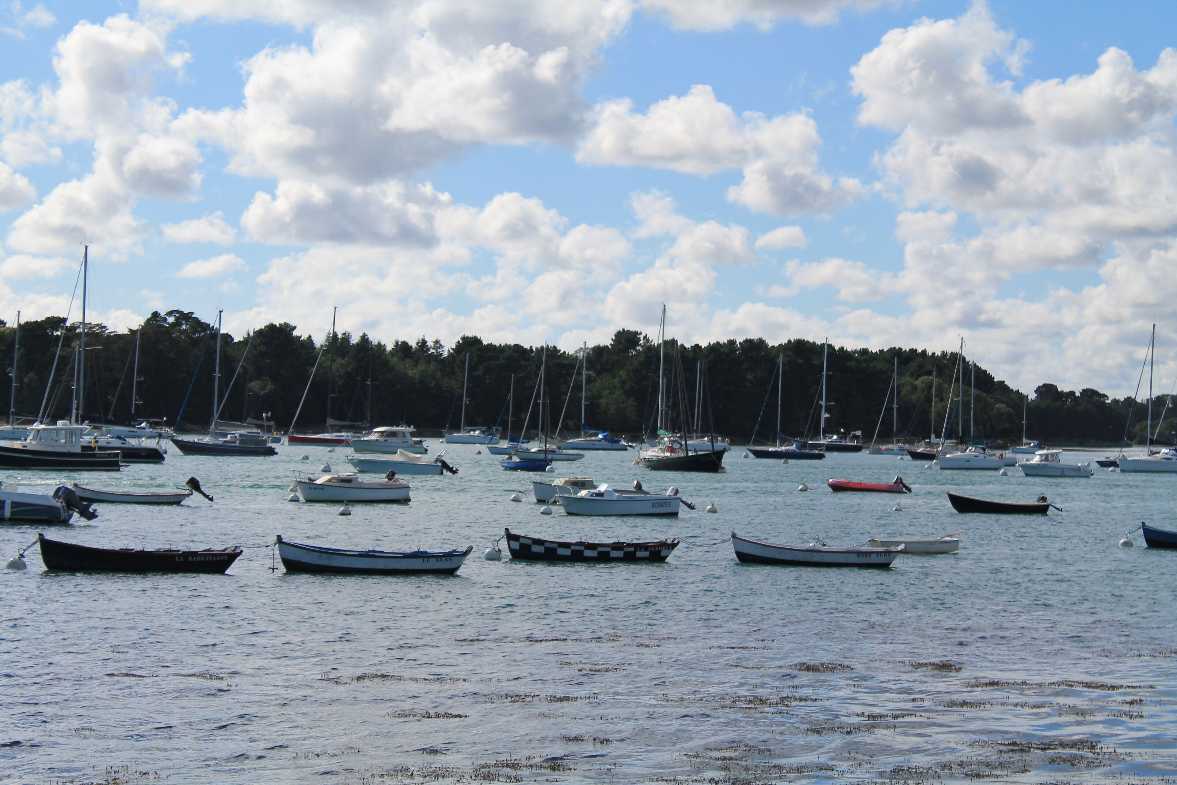 Port de plaisance