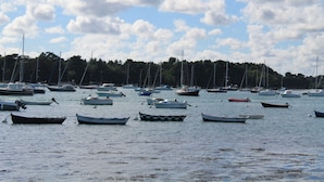 Un port de plaisance où sont amarrés différents types de bateaux, avec une eau calme et une colline boisée en arrière-plan.