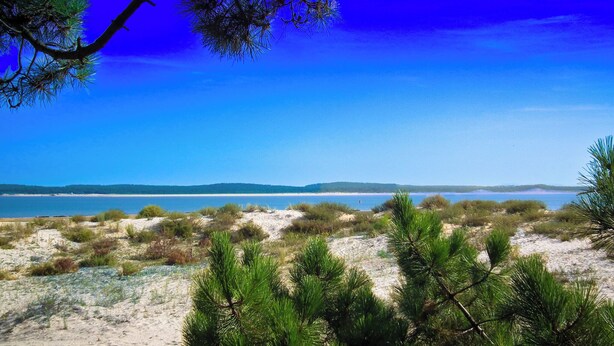 A beach with sand dunes, sparse vegetation, and a clear blue sky. -  Hotel le Coureau (Saint-Trojan-les-Bains)