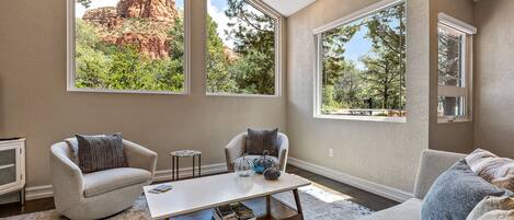 Smart TV, fireplace, books, computer monitors