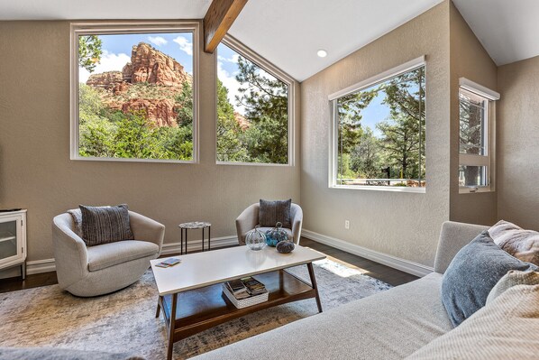 Smart TV, fireplace, books, computer monitors