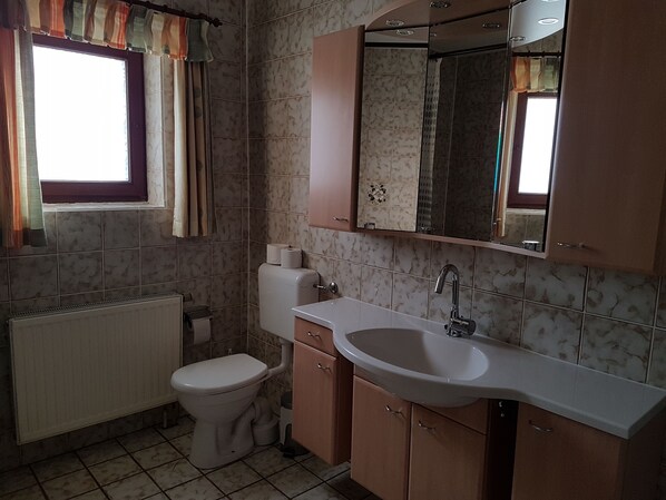 Un baño con inodoro, lavamanos y espejo.
