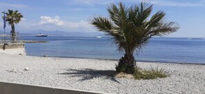 A pebbled beach with a palm tree and a yacht in the background. - Haven of peace located 150m from Antibes' white sandy beaches- Private swimming pool (cap d'antibes)