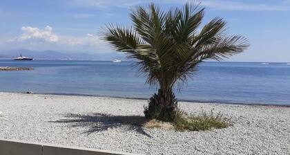 Haven of peace located 150m from Antibes' white sandy beaches- Private swimming pool