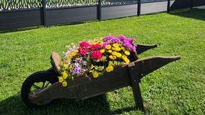 Un jardin avec une brouette remplie de fleurs aux couleurs vives, une clôture et un bâtiment en arrière-plan.