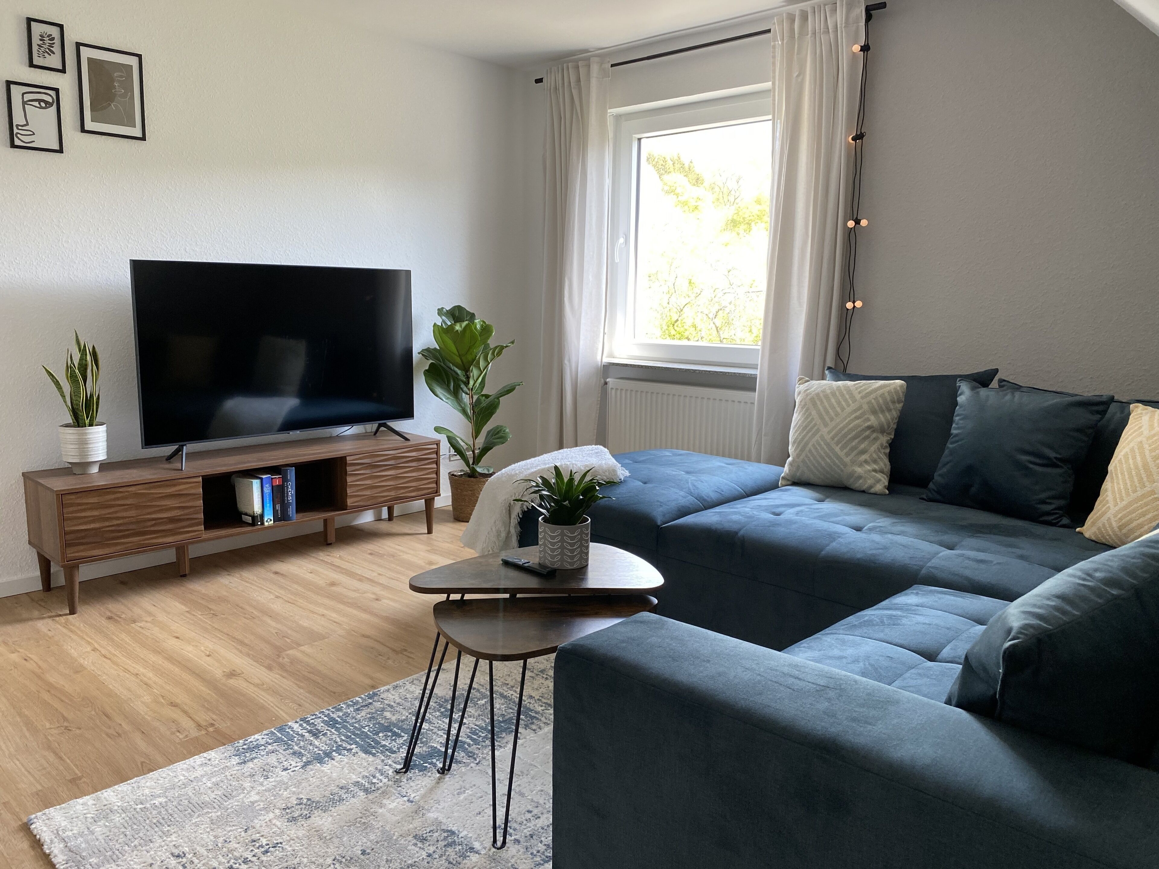 Smart-TV