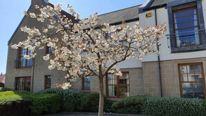 Un edificio con facciata in pietra, diverse finestre e un albero con fiori bianchi di fronte.