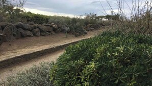 Un sendero pavimentado flanqueado por un muro de piedra y abundante vegetación, que atraviesa un paisaje natural.