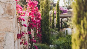 A garden with a stone wall, pink flowers, and various plants. - Casa Paradisu (Monticello)