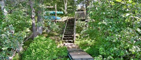 Una escalera de madera rodeada de abundante vegetación, que conduce a un terreno más elevado.