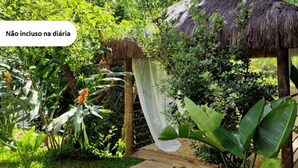 Una construcción de techo de paja rodeada de abundante vegetación y diversas plantas.