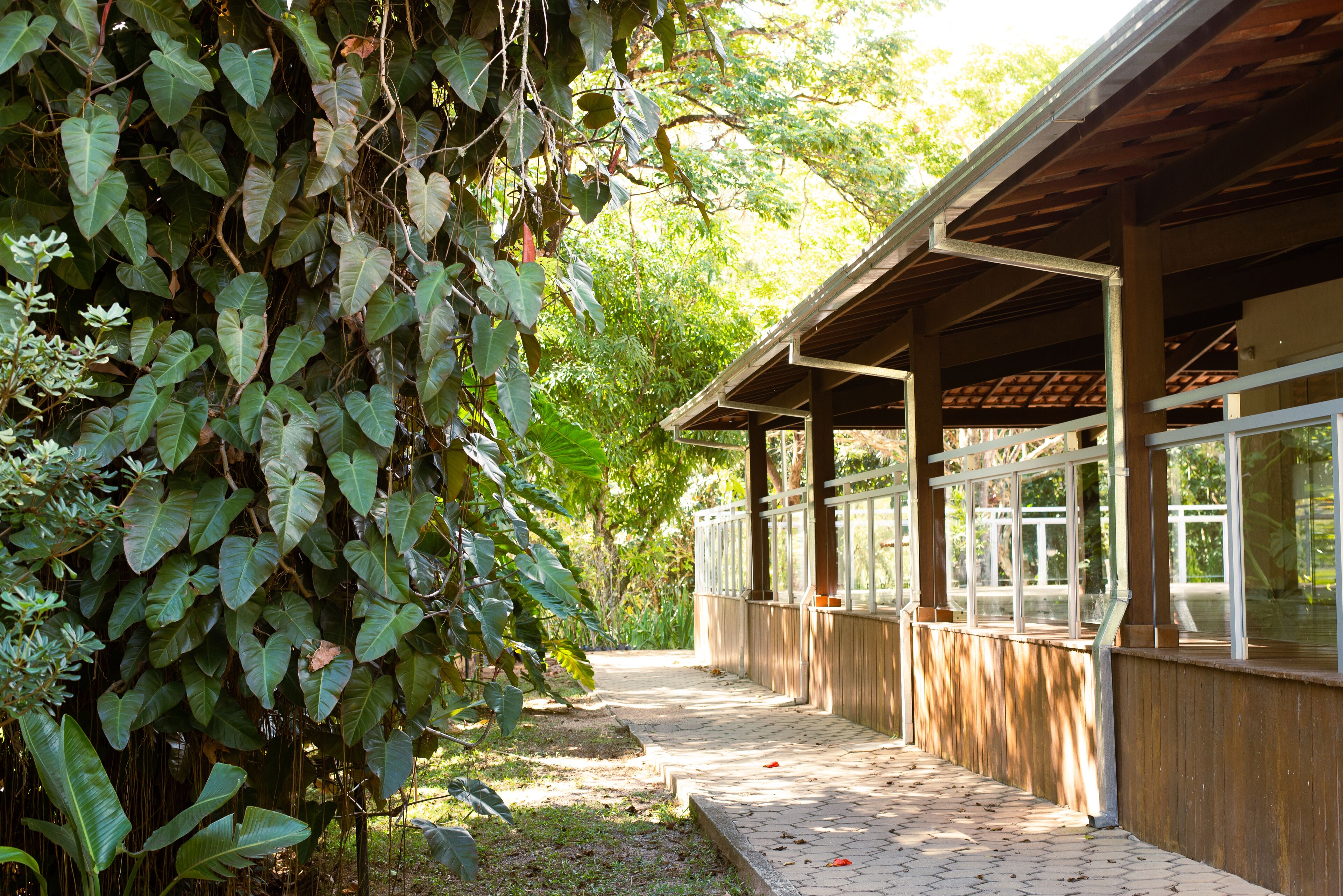 A covered walkway with a wooden floor, surrounded by lush greenery and trees.