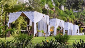 Un jardín con estructuras cubiertas de blanco, abundante follaje y un edificio al fondo.
