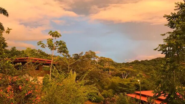 Un jardin luxuriant avec un sentier menant à un bâtiment doté d’un toit rouge.