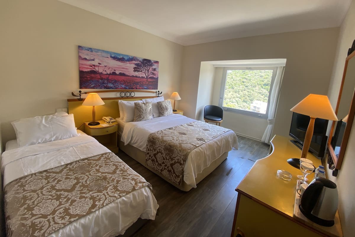 Minibar, in-room safe, free WiFi, bed sheets