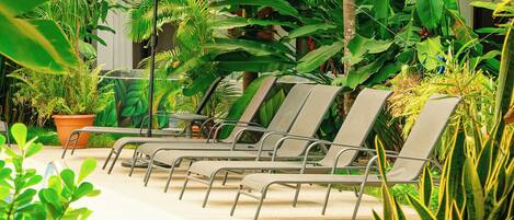 Un espace piscine aménagé avec des chaises longues et des plantes en pot.