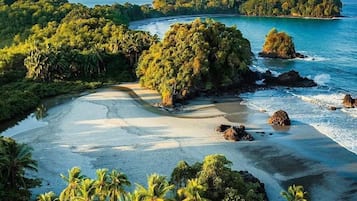 Beach nearby, beach shuttle