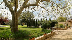 A garden with a large tree, a lawn, and a pergola with chairs.