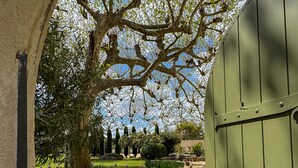 A pathway leading to a green gate, surrounded by a garden with various plants and trees.