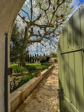 المنطقة المحيطة بالمنشأة