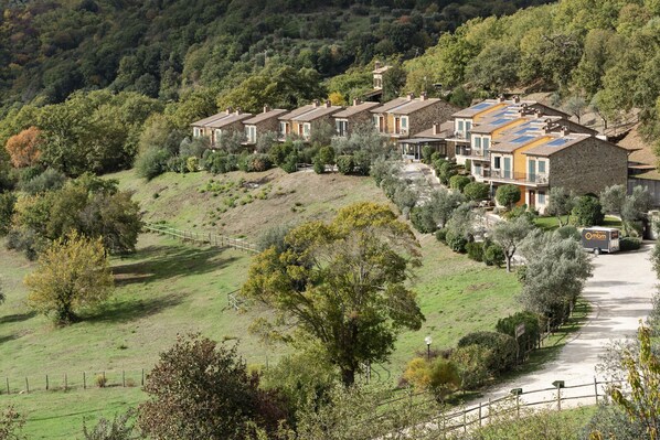 Exterior - 35sqm apartment in the countryside with pool park and riding stables (Scansano)