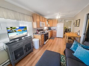 TV - Oceanfront ground level condo on the boardwalk! (Ocean City)