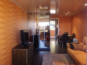 TV, DVD player, books, video library