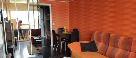 Una televisión, un reproductor de DVD, libros, una videoteca