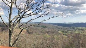 A view from a wooden deck overlooking a forested landscape with distant hills.