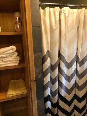 Shower, hair dryer