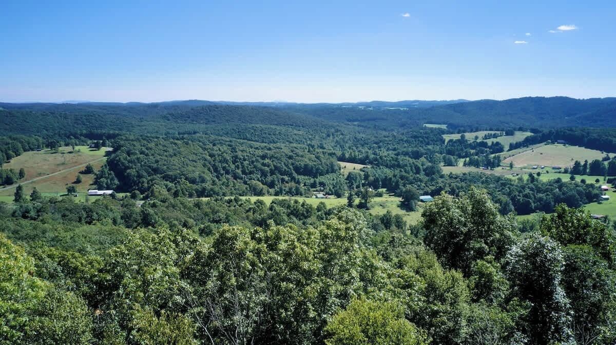 A panoramic view of a forested landscape with scattered buildings.