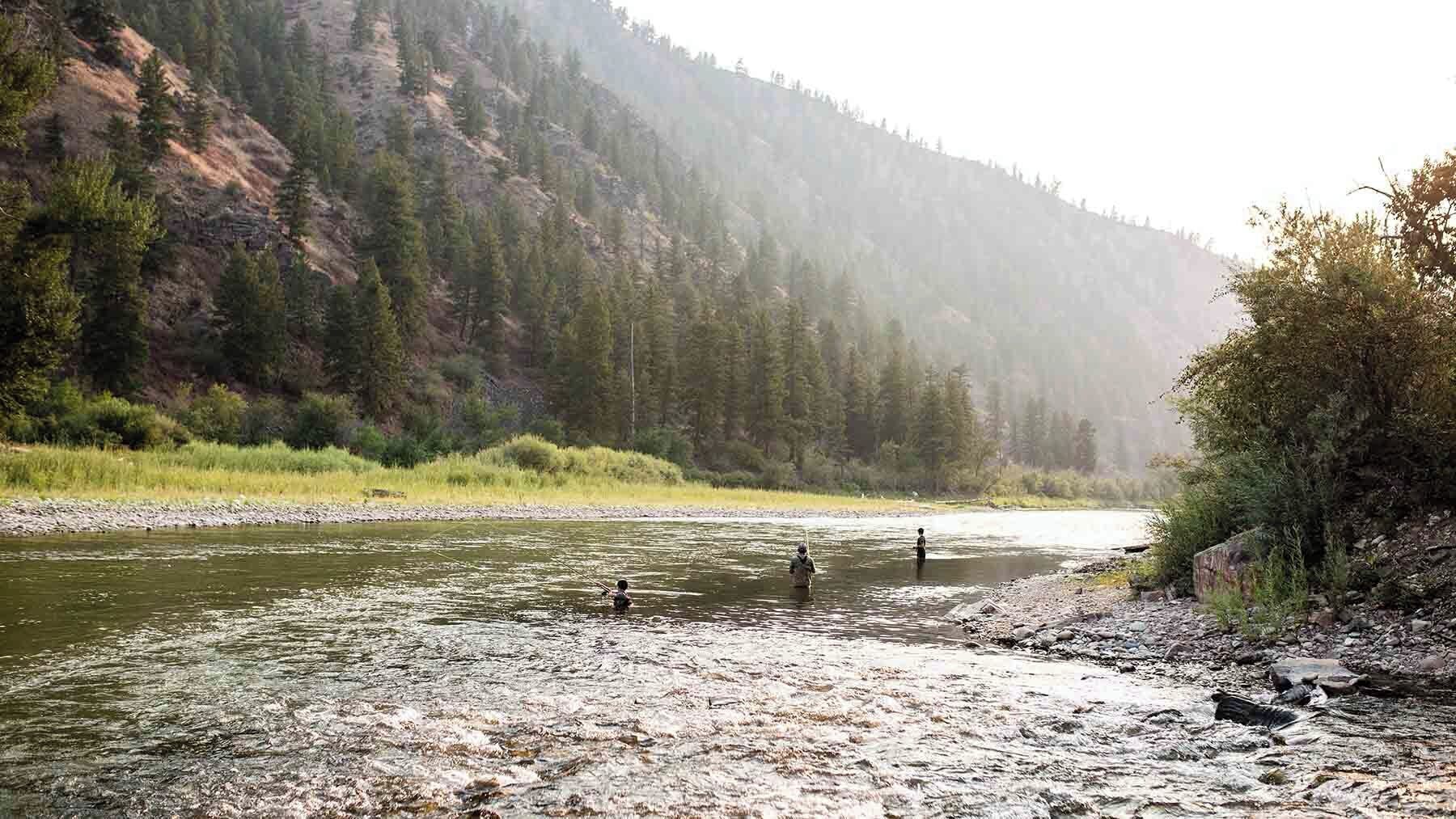 A river with rocky banks and a forested hillside in the background.