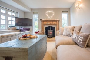TV, fireplace, DVD player, books