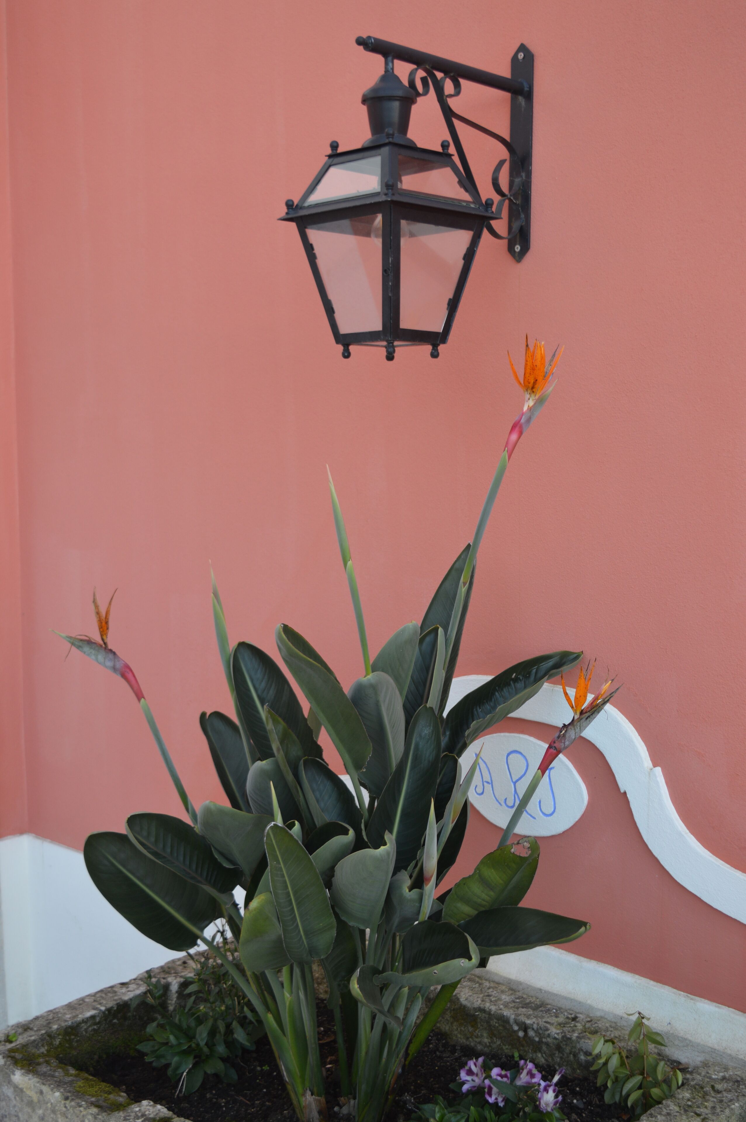 Foto - Villa Bela Vista