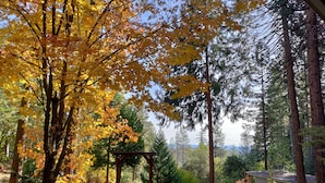A backyard with a wooden pergola, a swimming pool, and a house. - Peaceful Forest Retreat w/ Pool, Game Room, EV Charger. Pet friendly!  (Grass Valley)