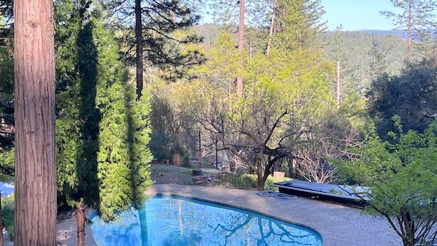 A swimming pool surrounded by trees, with a patio area and a view of a forested area. - Peaceful Forest Retreat w/ Pool, Game Room, EV Charger. Pet friendly!  (Grass Valley)