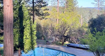 Peaceful Forest Retreat w/ Pool, Game Room, EV Charger. Pet friendly!