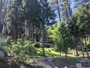 Terrain de l’hébergement 