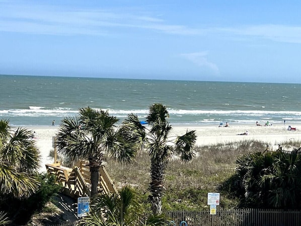 Playa en los alrededores