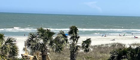 A beach with palm trees, a wooden walkway, and a view of the ocean.