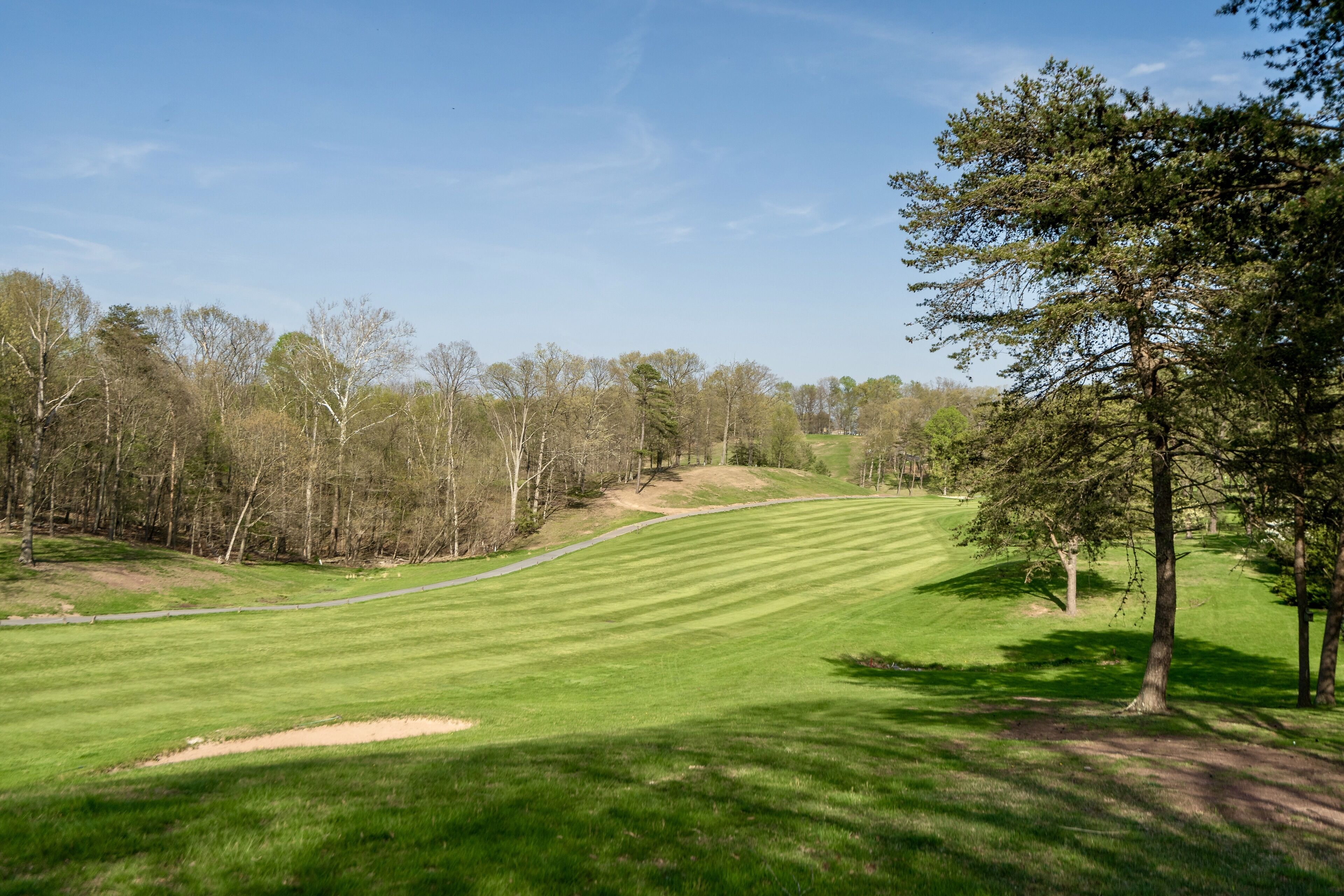 A golf course with a clear path, trees, and a well-maintained lawn.