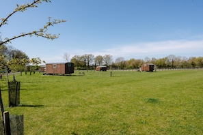 Exterior - Honeysuckle Farm Hut 5 - Suffolk Farm Holidays (Woodbridge)