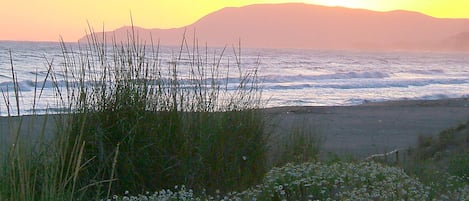 Plage à proximité