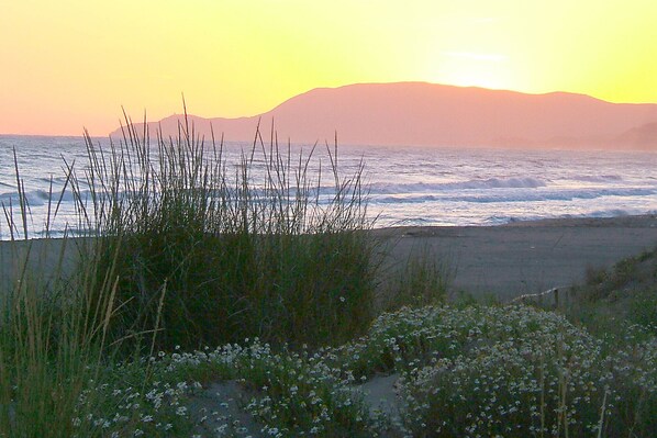 Playa en los alrededores 