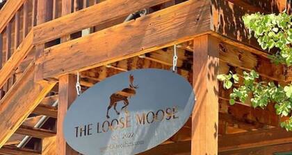 The Loose Moose Lodge #3 at Downtown Grand Lake near RMNP Entrance