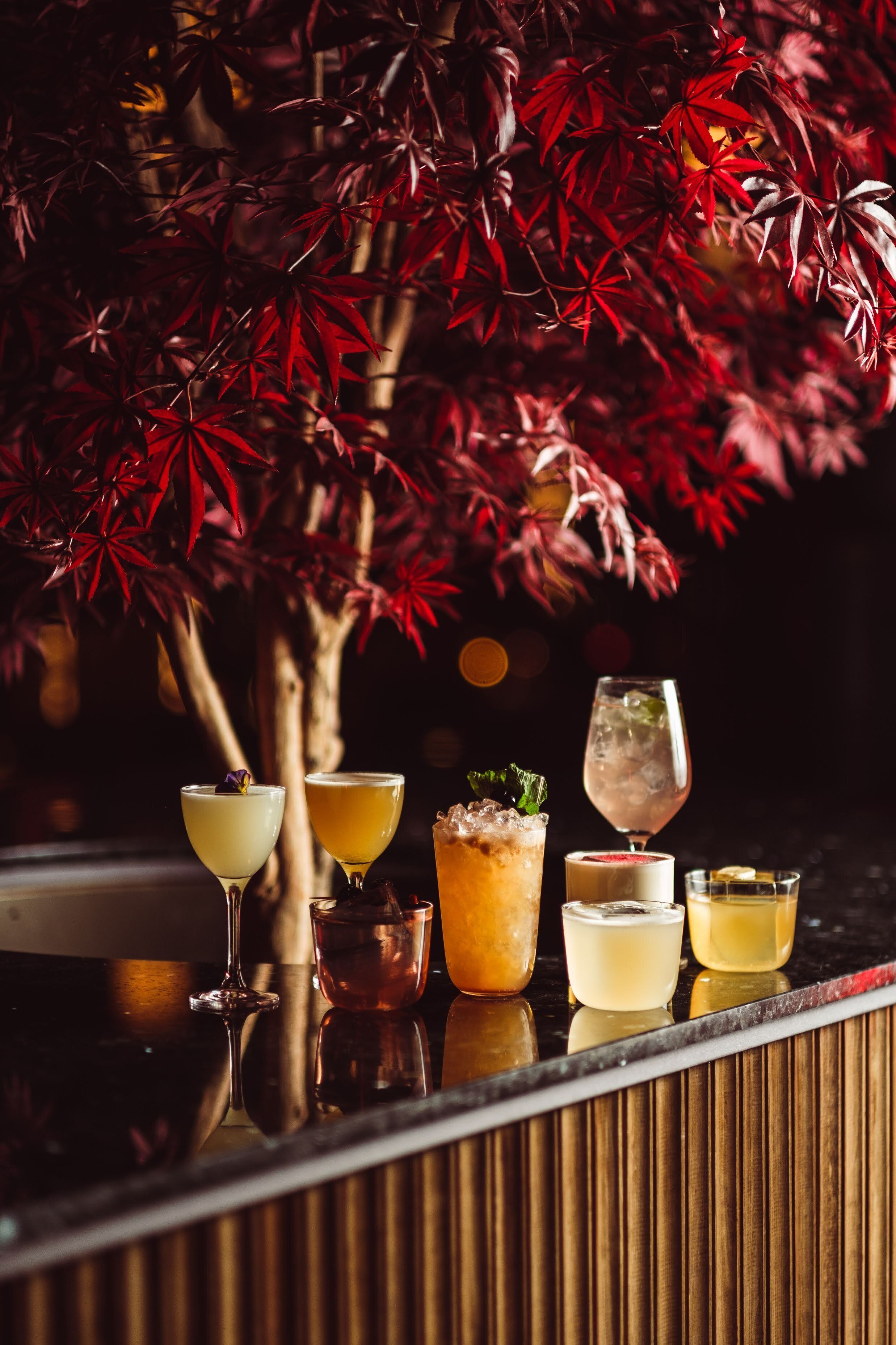 A bar with various drinks and a tree with red leaves in the background.