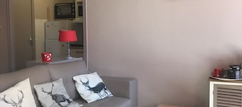 Charming apartment in the heart of Barcelonnette