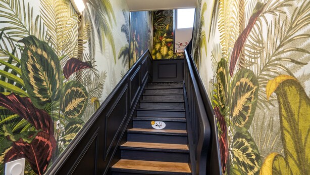 A staircase with a tropical mural on the walls, wooden steps, and a handrail. - Studio B, in the city center, cozy and warm... (La Roche-sur-Yon)