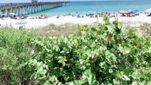 Ein Strand mit einer an das Meer reichenden Promenade, Sandstrand und etwas Grün im Vordergrund.